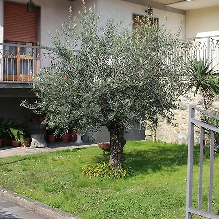 Il Giardino Delle More 아파트 *